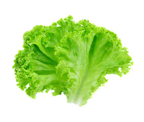Salad leaf. Lettuce transparent png