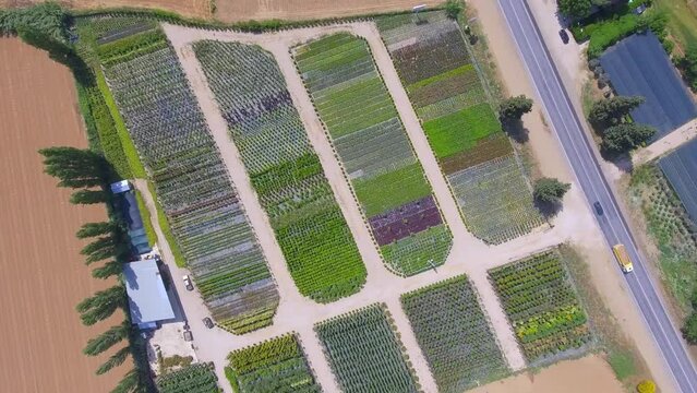 Drone view of fields full of colorful plants