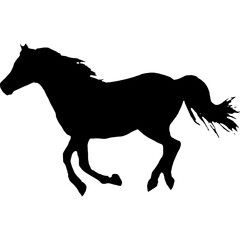 horse silhouette isolated on white