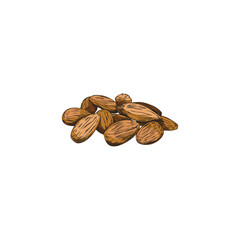 Almond nuts pile hand drawn sketch vector illustration isolated on white.