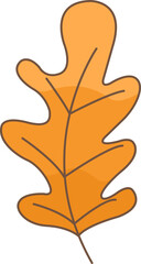 Autumn oak leaf vector illustration for decoration on nature, Autumn seasonal and thanksgiving festival concept.
