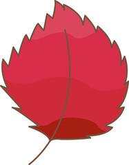 Red leaf illustration vector for decoration on nature and Autumn seasonal concept.