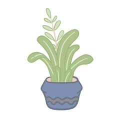 plant in a pot