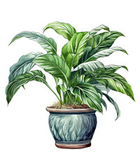 Watercolor Tropical Plants In Pots white Background ,transparent background, PNG , Generative AI	
