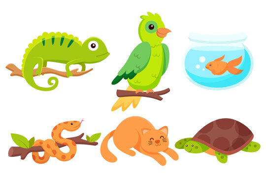 set of various animal isolated on white background illustration