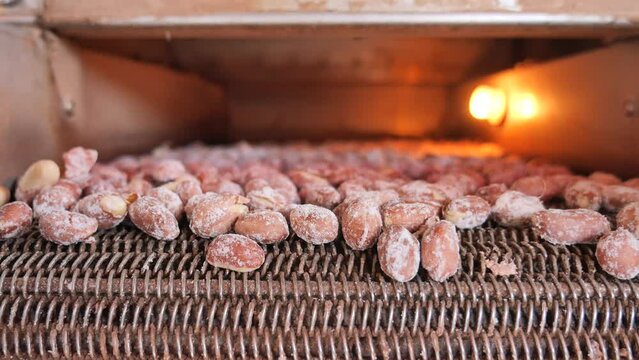precessing peanuts in a machine