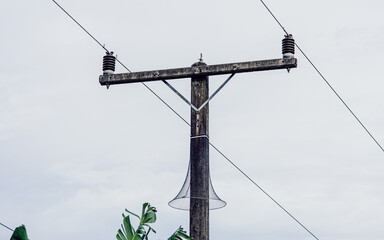 Nylon mesh or snake guard net around electric pole for protect animals climbing with sky background