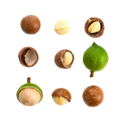 macadamia nuts isolated on transparent png