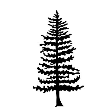 Isolated tree on the white background. Tree silhouettes. set of tree pine silhouette collections. Set for the design of various works, brochures, posters. 