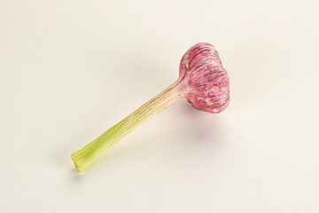 Young fresh garlic for cooking