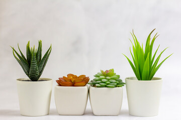 Indoor artificial plants, various succulents in pots. Succulents in white mini-pots. Ideas for home...