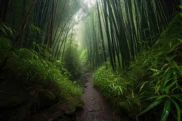 Zelfklevend Fotobehang Bamboo rain forest in the morning. Generative AI. © hugo