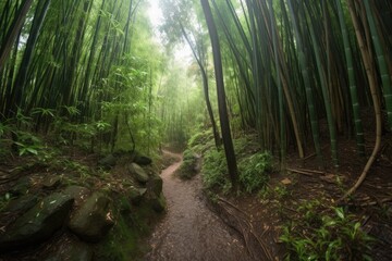 Naklejka premium Bamboo rain forest in the morning. Generative AI.