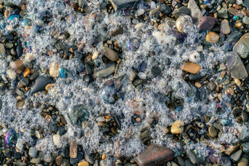 Various pebbles and foam on sea shore