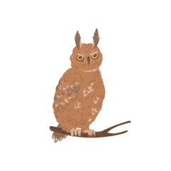 Owl bird sitting on branch, flat vector illustration isolated on white background.