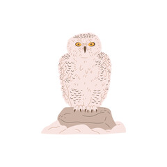 Seriously polar owl sitting on stone flat style, vector illustration