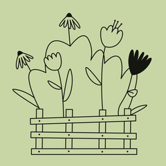 Flowerbed with flowers. Plants in outline style.