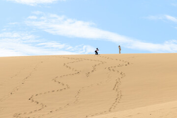 Fototapeta na wymiar 鳥取砂丘で砂丘を楽しむ人々