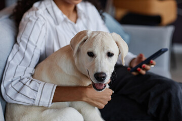 Close up of black young woman embracing cute white puppy while sitting on sofa together, copy space
