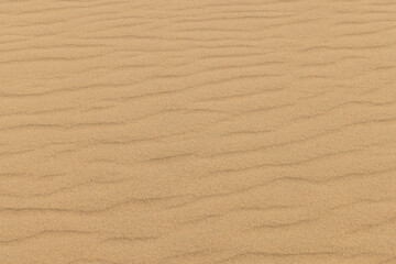 砂丘の風紋、背景素材