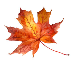 Fototapeta premium red sugar maple leaf leaves plant nature foliage stalk green tree transparent background cutout, ai generative