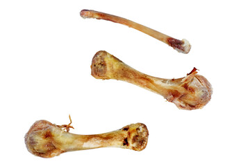 Three chicken bones isolated on a white background. © Roman Ivaschenko