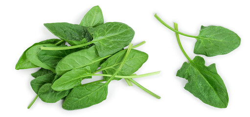 fresh spinach isolated on white background. Top view. Flat lay