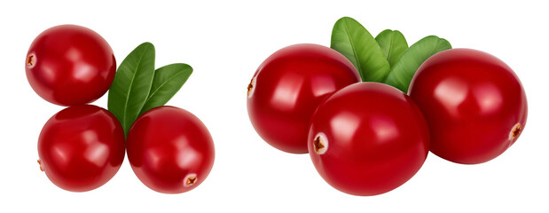 Cranberry with leaves isolated on white background with full depth of field. Top view. Flat lay