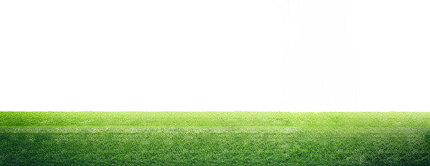 Soccer, football player celebrating on the grass