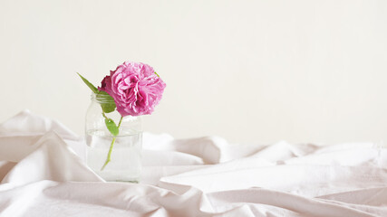 Pink flower in a glass jar