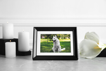 Frame with picture of dog, burning candles and calla lily flowers on light grey table. Pet funeral