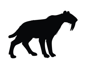 Vector illustration of black silhouette Smilodon, saber toothed tiger, isolated on white background