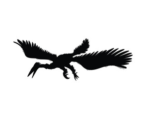 Enantiornis dinosaur, black silhouette icon, vector illustration isolated on white background.