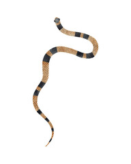 Watercolor Yellow Striped Snake illustration. Isolated on white background. Watercolour reptile