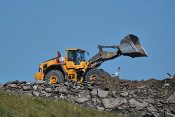 Large Wheel Loaders, another type of machinery such as a dump truck.