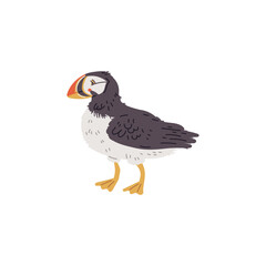 Obraz premium Vector illustration of an puffin, unique bird with a bright beak, isolated on white background