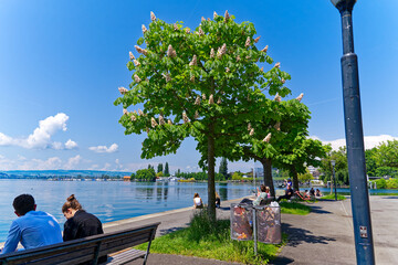 People enjoying beautiful spring noon at lakeshore of Lake Zug at City of Zug. Photo taken May...