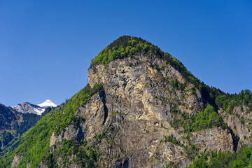 Beautiful mountain panorama with woodland and peak in the Swiss Alps at lakeshore of Lake Lucerne on a sunny spring morning. Photo taken May 22nd, 2023, Sisikon, Switzerland.