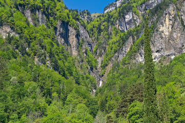 Fototapeta na wymiar Beautiful mountain panorama with woodland and waterfall in the Swiss Alps at lakeshore of Lake Uri on a sunny spring morning. Photo taken May 22nd, Bauen, Switzerland.