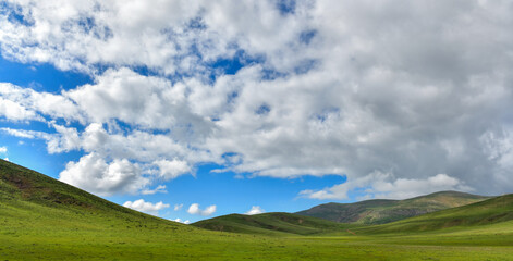 The Beauty of Our Nature