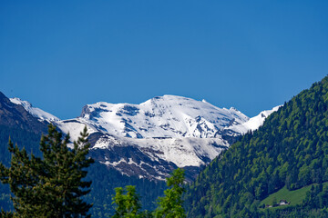 Beautiful mountain panorama with woodland and snow covered peak in the Swiss Alps at lakeshore of Lake Lucerne on a sunny spring morning. Photo taken May 22nd, 2023, Sisikon, Switzerland.