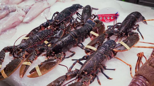 Live blue lobster (Homarus gammarus) for sale in the Central Market of Valencia, Spain.