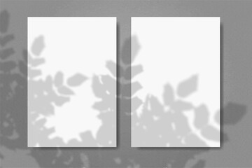 Natural light casts shadows from the foliage of the tree on 2 vertical rectangles sheets of white paper lying on a gray textured background. Mockup