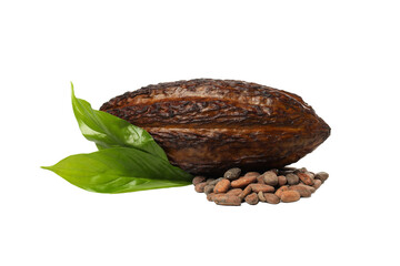 PNG, ingredient for making chocolate - cocoa, isolated on white background