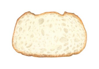 シンプルな食事パンの断面　水彩色鉛筆イラスト