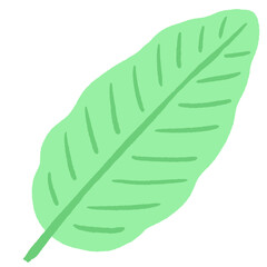 Cartoon cute leaf tropical element.