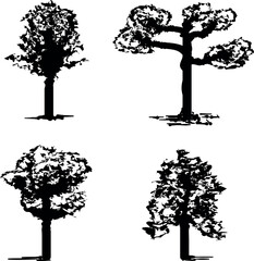 Four different trees with dense foliage in the form of black images