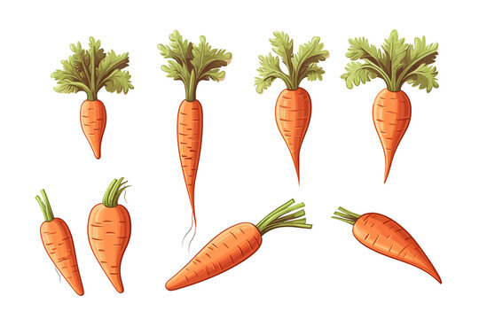 Carrot Set Collection Graphic Clipart Design. Generative AI