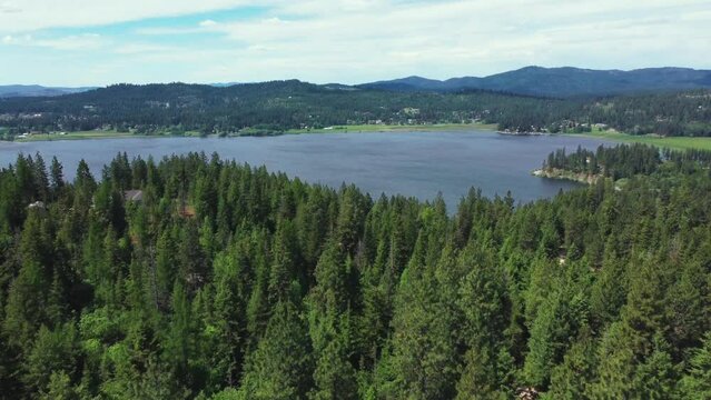 Ascending On Pine Forest At Hauser Lake In North Idaho, USA. Aerial Tilt-up