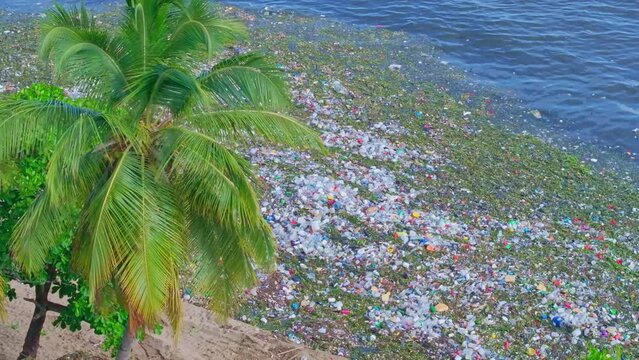 Shocking sight of floating marine trash lining exotic Caribbean beach, aerial